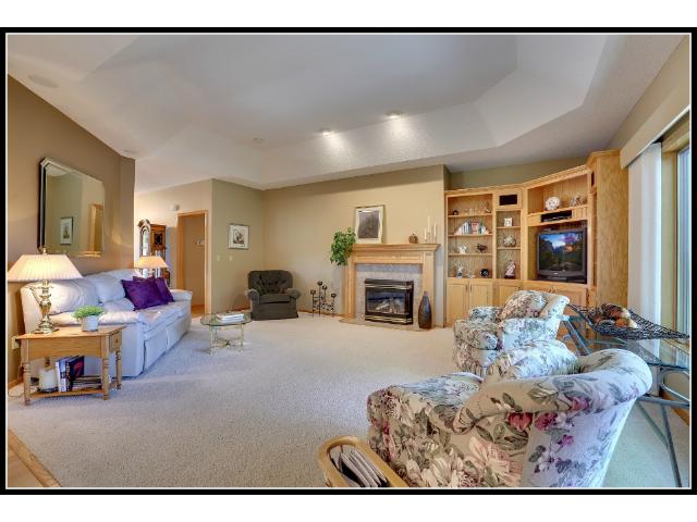 11270 Hidden Oaks Ct N, Champlin, MN 55316 photo 7