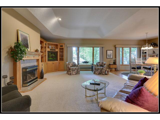 11270 Hidden Oaks Ct N, Champlin, MN 55316 photo 5