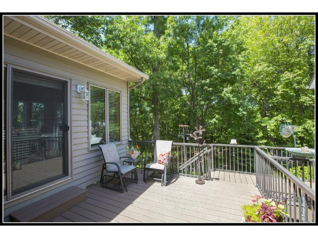 11270 Hidden Oaks Ct N, Champlin, MN 55316 photo 17