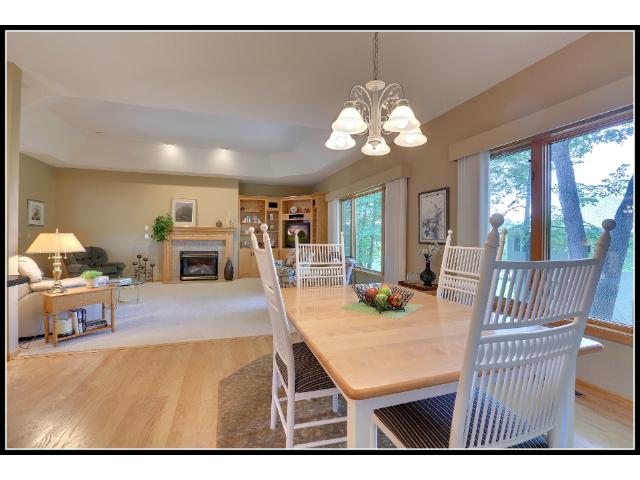 11270 Hidden Oaks Ct N, Champlin, MN 55316 photo 9