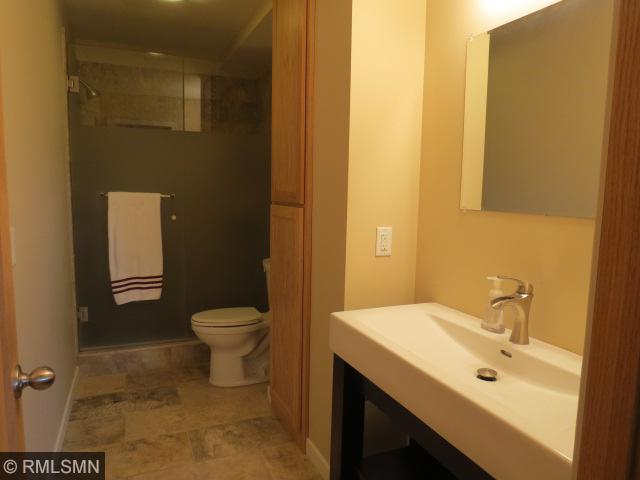11129 Xylon Ave N, Champlin, MN 55316 photo 13