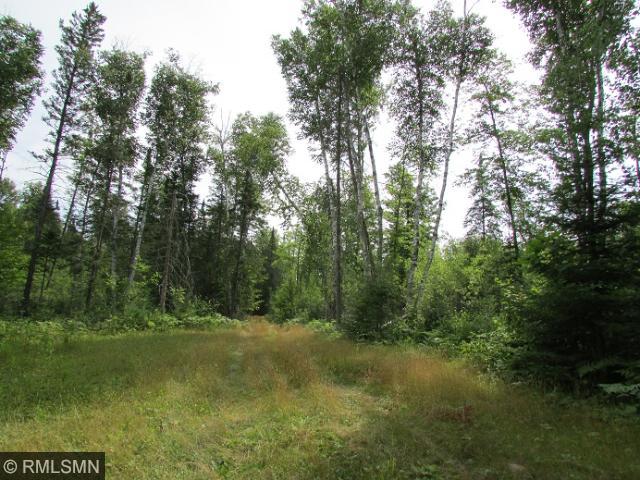 278 S Lake Lawrence Rd NE, Outing, MN 56662 photo 8