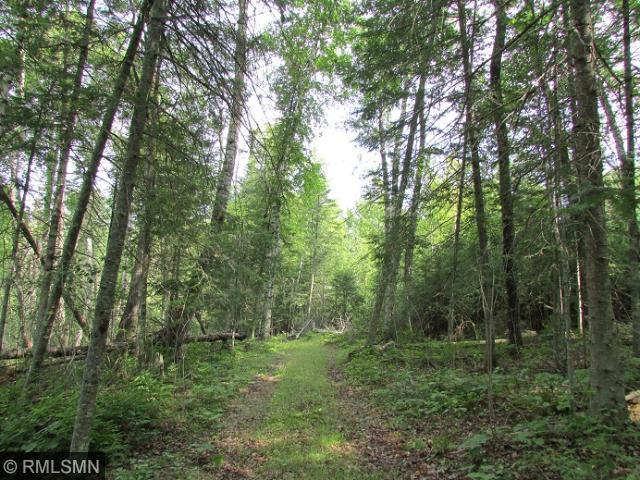 278 S Lake Lawrence Rd NE, Outing, MN 56662 photo 6