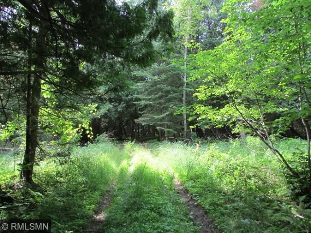 278 S Lake Lawrence Rd NE, Outing, MN 56662 photo 7
