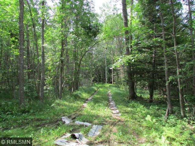 278 S Lake Lawrence Rd NE, Outing, MN 56662 photo 5
