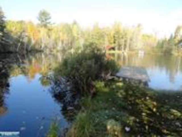 1338 Trygg Rd, Ely, MN 55731 photo 6