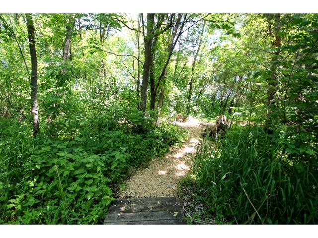 7042 Eagle Trl, Hugo, MN 55038 photo 17