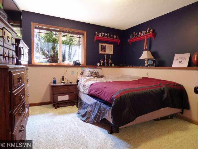 7374 122nd Ave N, Champlin, MN 55316 photo 13