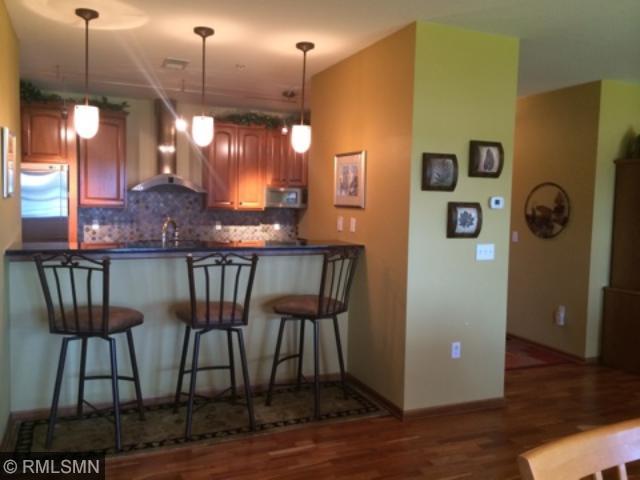 4100 Spring St #203, Spring Park, MN 55384 photo 5