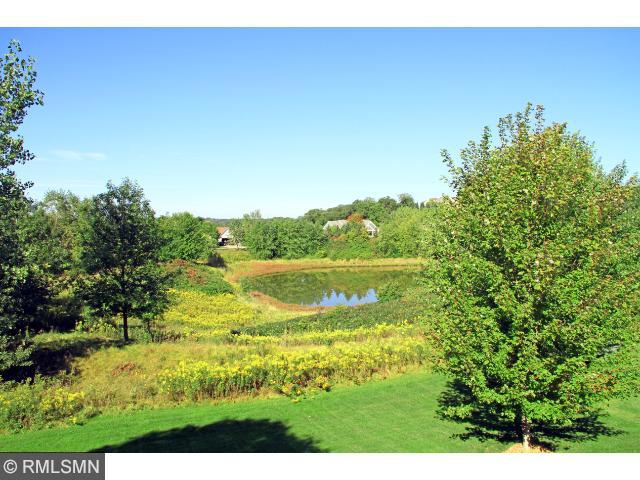 13243 Danner Path, Rosemount, MN 55068 photo 18