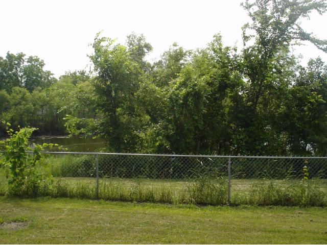 1312 Independence Ave N, Champlin, MN 55316 photo 3