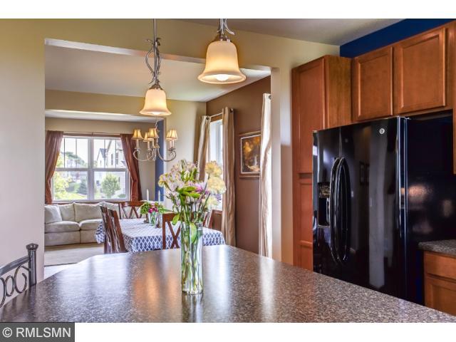 1706 Basswood Ct, Carver, MN 55315 photo 7