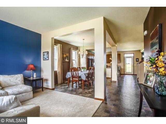 1706 Basswood Ct, Carver, MN 55315 photo 5