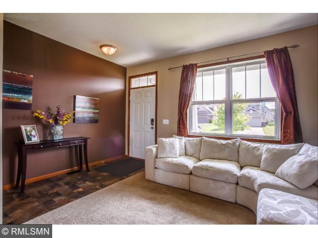 1706 Basswood Ct, Carver, MN 55315 photo 4