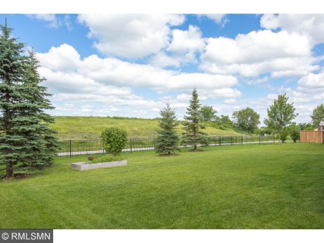 1706 Basswood Ct, Carver, MN 55315 photo 18