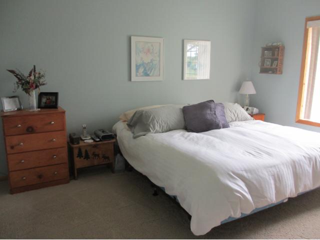 15832 Cicerone Path, Rosemount, MN 55068 photo 6