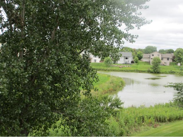 15832 Cicerone Path, Rosemount, MN 55068 photo 13
