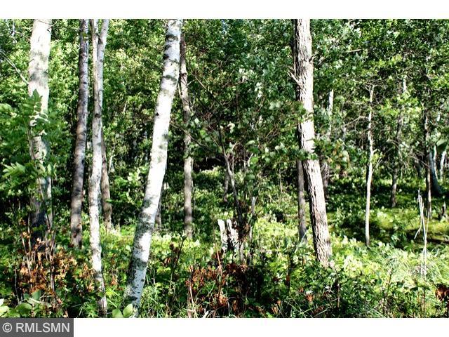 3432 Ox Yoke Rd NW, Hackensack, MN 56452 photo 15