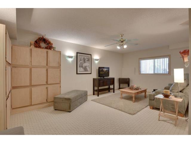 9389 White Oaks Trl, Champlin, MN 55316 photo 13