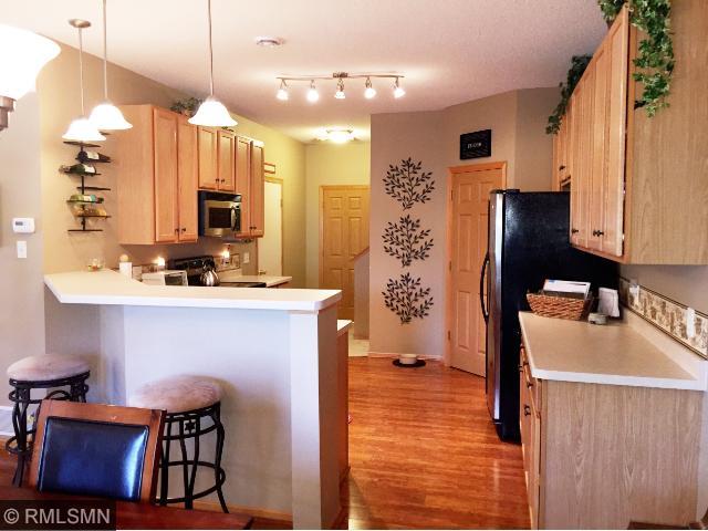 14197 Avalon Path, Rosemount, MN 55068 photo 1