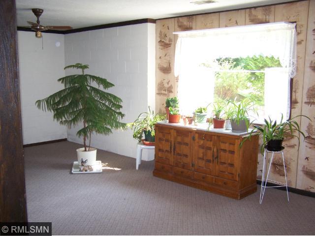 6745 71st Ln N, Loretto, MN 55357 photo 10