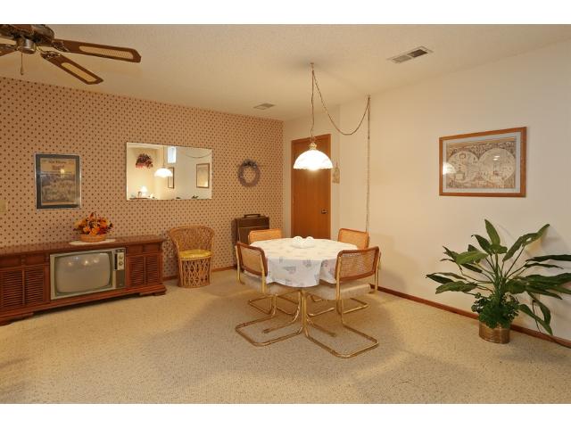 207 Sunrise Ln, Champlin, MN 55316 photo 13