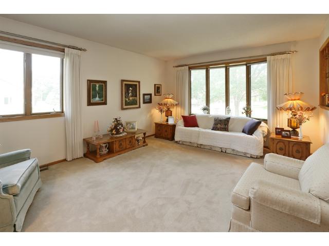 207 Sunrise Ln, Champlin, MN 55316 photo 7