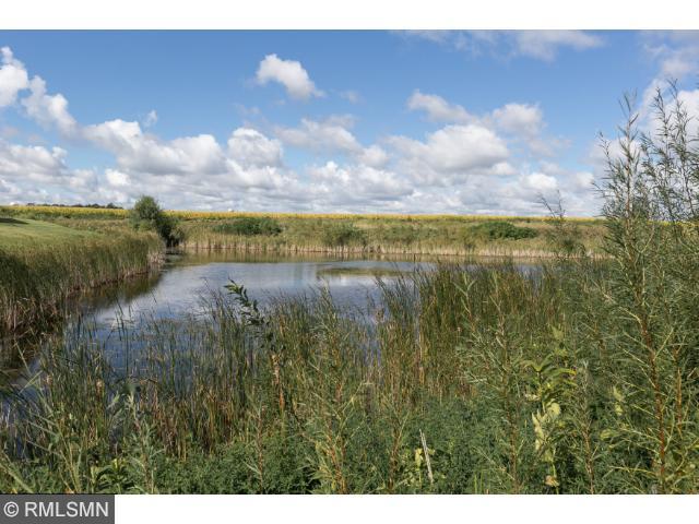 2289 Silver Leaf Trl, Cologne, MN 55322 photo 18