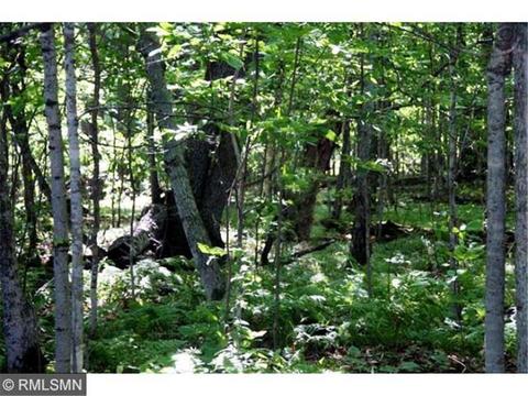 8302 Second Point Rd NW, Walker, MN 56484 photo 7