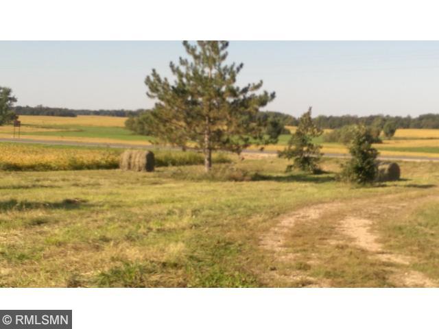 18932 Csah 9, Darwin, MN 55324 photo 5
