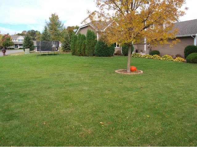 11231 Marshview Ln N, Champlin, MN 55316 photo 18