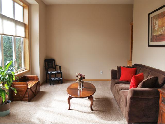 11231 Marshview Ln N, Champlin, MN 55316 photo 6