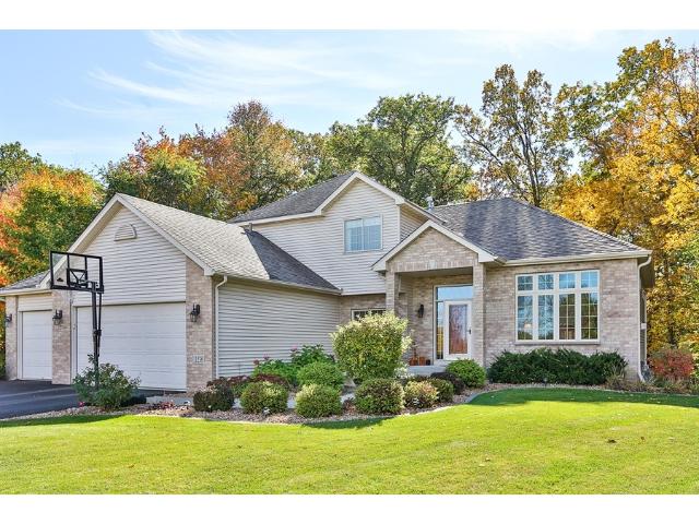 11258 Oakridge Cir N, Champlin, MN 55316 photo 1