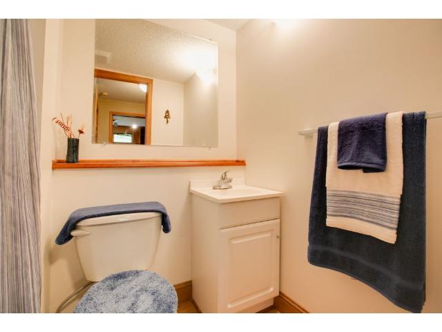 215 Meadow Dr, Loretto, MN 55357 photo 14