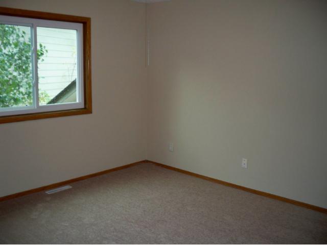9609 Lakeside Trl N, Champlin, MN 55316 photo 6