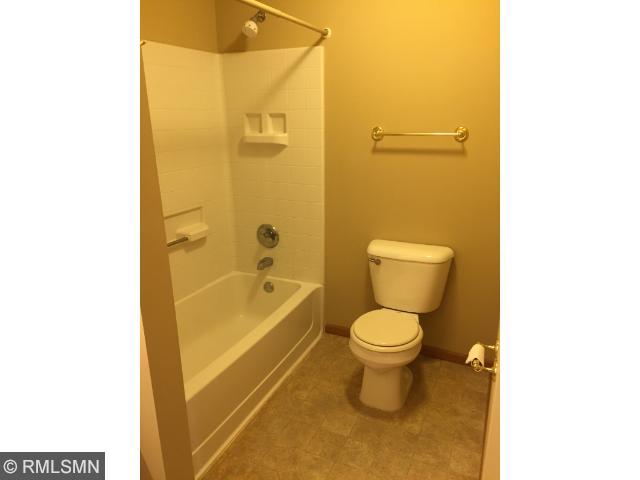 14247 Avalon Path, Rosemount, MN 55068 photo 13