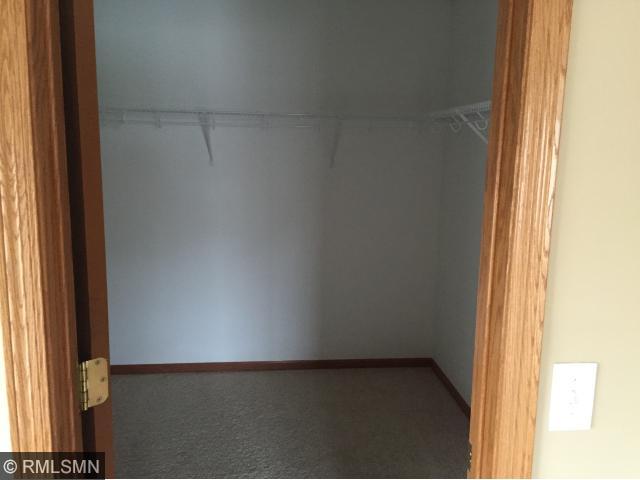 14247 Avalon Path, Rosemount, MN 55068 photo 15