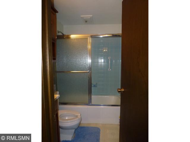 342 Belle Aire Dr, Champlin, MN 55316 photo 10