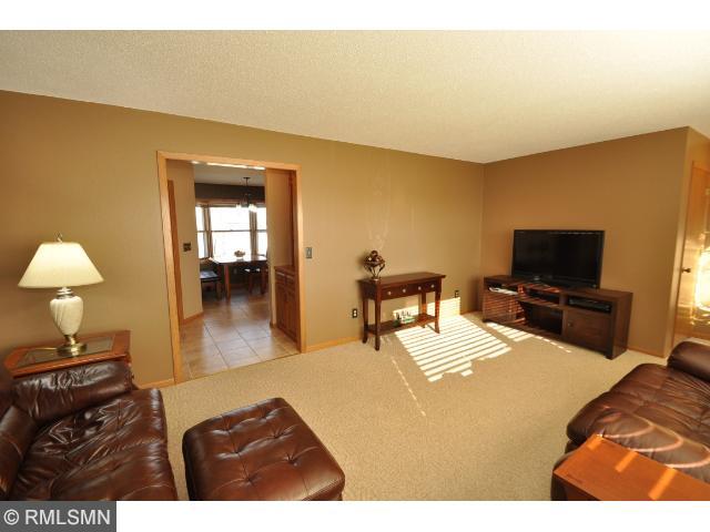9 Angelfish Ave, Avon, MN 56310 photo 8