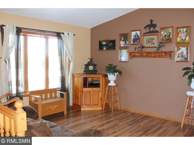 313 Barracuda Ave NE, Avon, MN 56310 photo 3