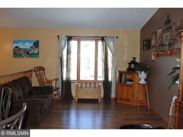 313 Barracuda Ave NE, Avon, MN 56310 photo 4