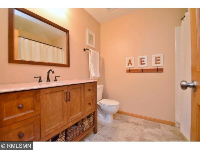 13989 Dander Ct, Rosemount, MN 55068 photo 10