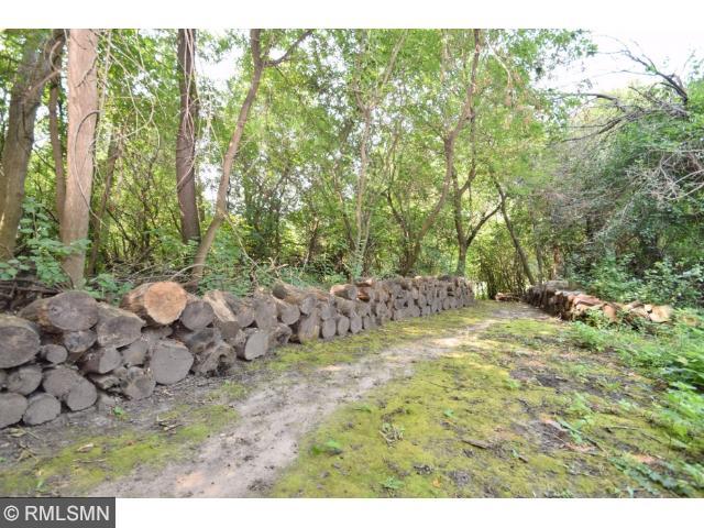 13989 Dander Ct, Rosemount, MN 55068 photo 17