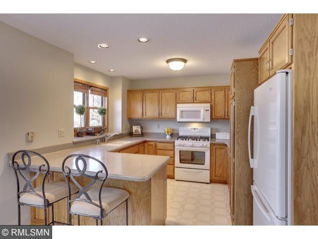 145 Mallard Ln, Loretto, MN 55357 photo 6
