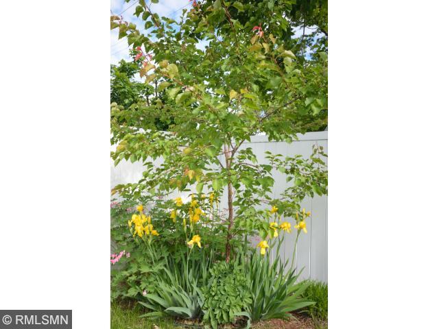 702 Wilson Ave SE, Saint Cloud, MN 56304 photo 18