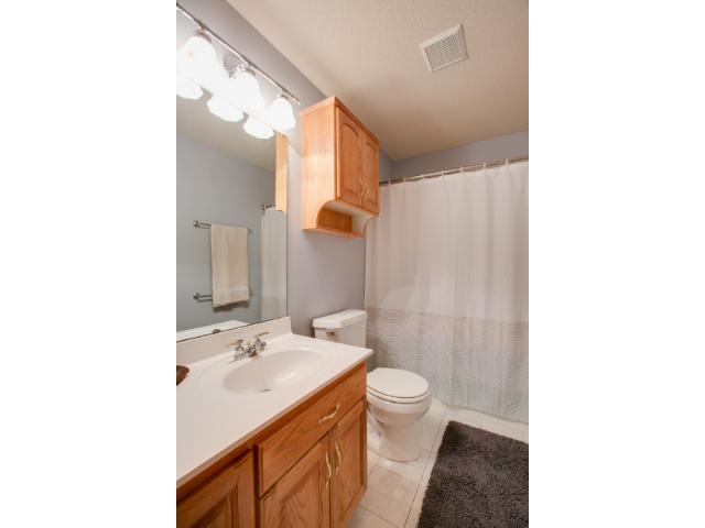 5810 Three Oaks Ave, Maple Plain, MN 55359 photo 10