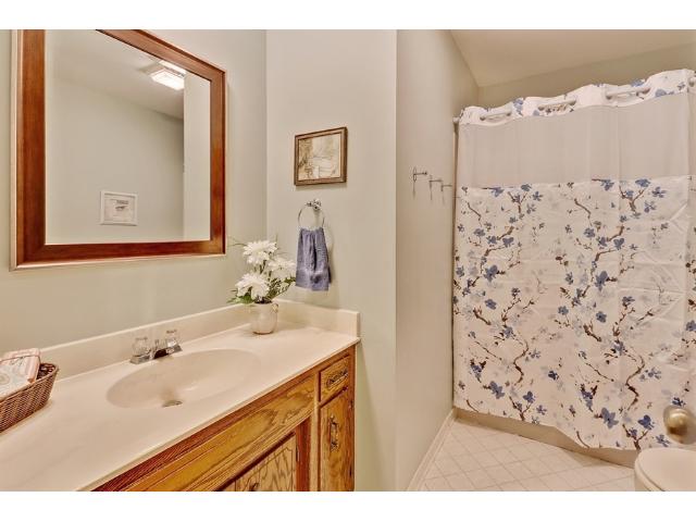11501 Zane Cir N, Champlin, MN 55316 photo 14