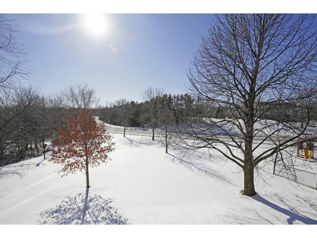 1510 Clemson Ct, Eagan, MN 55122 photo 18