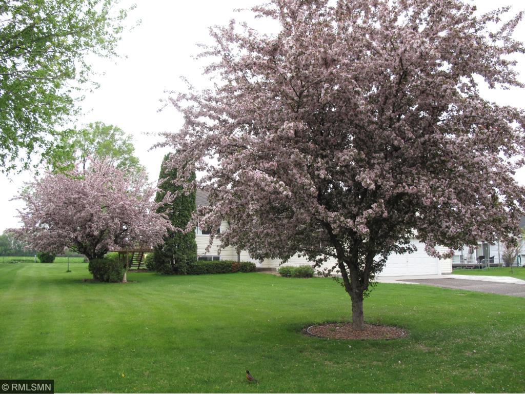 6516 Laurel Rd, Saint Cloud, MN 56303 photo 2