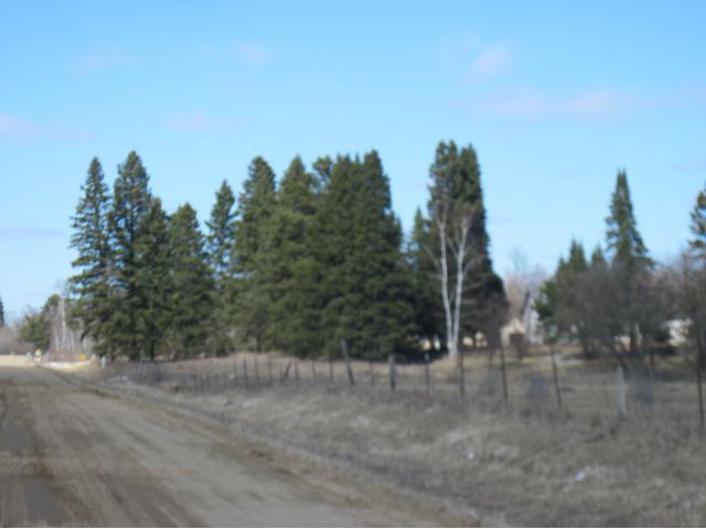 270 Central Ave N, Pine River, MN 56474 photo 2